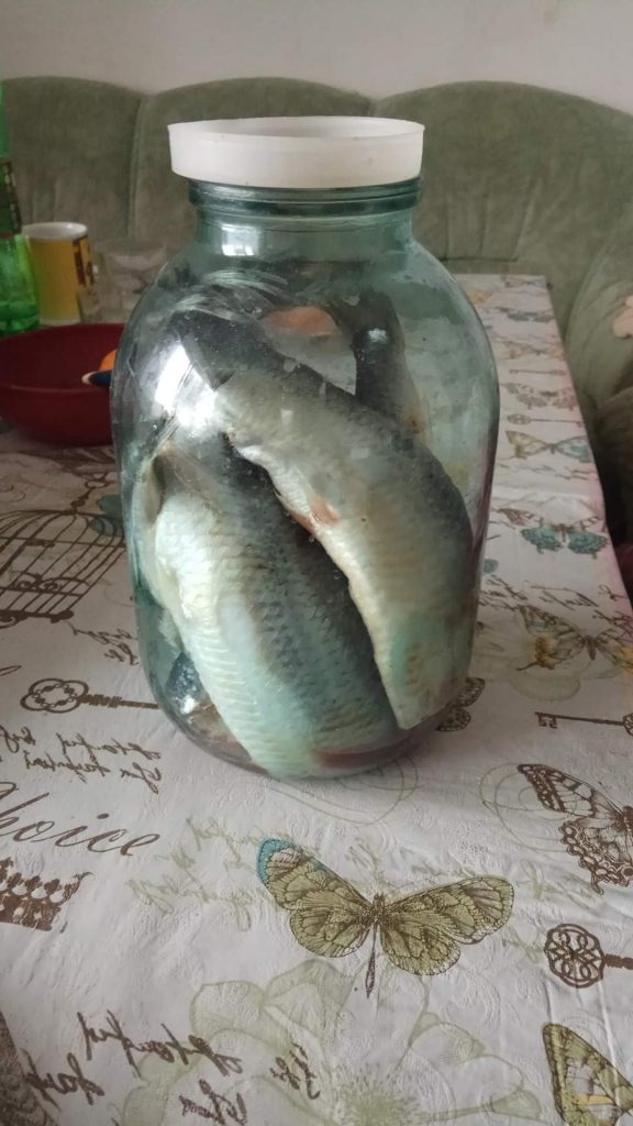 малосольная пряная селёдка