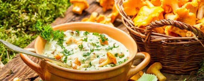 как приготовить грибы лисички в сметане